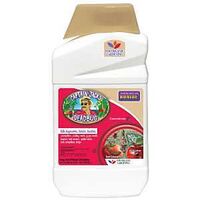 GARDEN INSECT CONTROL CONC 1QT