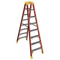 Werner T6208 Twin Ladder
