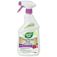 Garden Safe 10424/X Insecticidal Soap