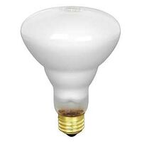 Feit 65BR30/FL/RP Incandescent Lamp