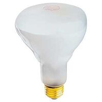 Feit 65BR/FL/MP-130 Dimmable Incandescent Lamp
