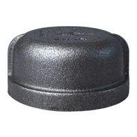 World Wide Sourcing 18-2B Black Pipe Malleable Cap