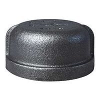 World Wide Sourcing 18-2B Black Pipe Malleable Cap