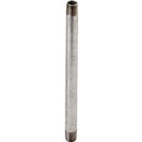 World Wide Sourcing 1/4X4G Galvanized Pipe Nipples