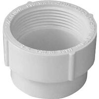 Genova Products 71639 PVC-DWV Cleanout Adapter