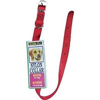 Aspen Pet 15356 Dog Collars