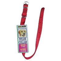 Aspen Pet 15406 Dog Collars