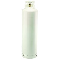 Bernzomatic 282154 Portable Propane Gas Cylinder