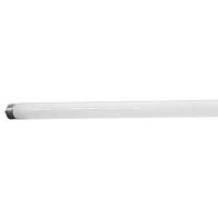 Octron 800 Xp Xl 22149 Extended Life Ecologic Fluorescent Lamp