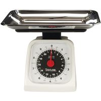 Taylor 3880 Digital Kitchen Scale