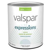 Expressions 17043 Latex Paint