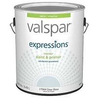 Expressions 17044 Latex Paint