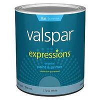 Valspar 17101 Expressions Exterior Latex Paint