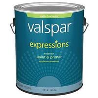 Expressions 17141 Latex Paint