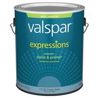 Expressions 17142 Latex Paint