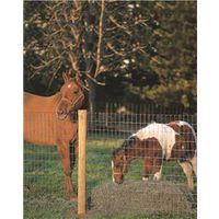 Red Brand 70314 Tradition Non-Climb Horse Fence With Square Deal Knot