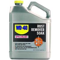 Specialist 300042 Rust Remover Soak