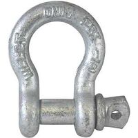 Shackle ANCH 1/4in 1/3ton SCR