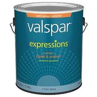 Expressions 17161 Latex Paint