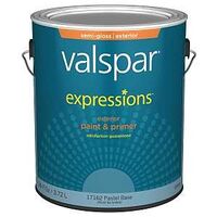 Expressions 17162 Latex Paint