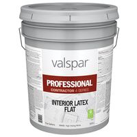 Valspar Professional CONTRACTOR 4 Latex Spray Paint