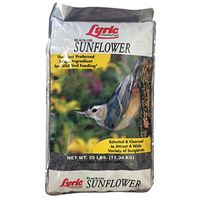 Lyric 2647281 Sunflower Seed