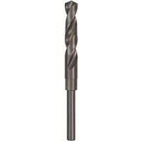 Dewalt DW1622 Silver and Deming Drill Bit