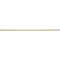 Linzer RP 548 Threaded Tip Extension Pole