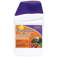 Bonide Fungonil 880 Concentrate Fungicide