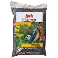 Lyric 2647277 Sunflower Seed