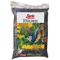 Lyric 2647277 Sunflower Seed