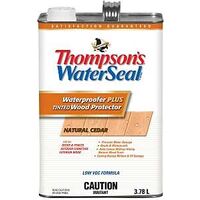 Thompson's WaterSeal Plus THC043024-16 Low VOC Wood Protector