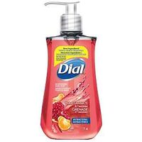 Dial 1717284 Anti-Bacterial Hand Soap