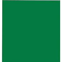 TISSUE PAPER GREEN 8 COUNT    