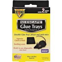 MOUSE GLUE TRAP TRAY 2PK      
