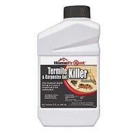 KILLER TERMITE/ANT CONC QT    