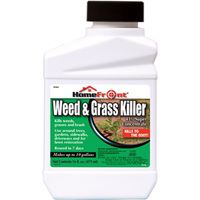 KILLER WEED/GRASS CONCENT PT  