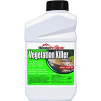 KILLER VEGETATION CONC QT     