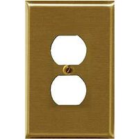 WALLPLATE 1 GANG DPX BRS 1/PK 