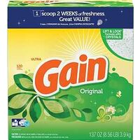 Procter & Gamble Gain Laundry Detergent