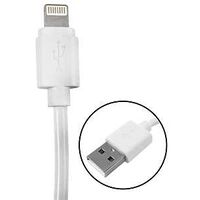 CABLE 8 PIN-USB A WHITE 3FT   