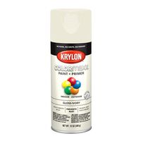 PAINT SPRY GLOSS IVORY 12OZ   