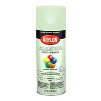 PAINT SPRY MATTE SESD GRN 12OZ