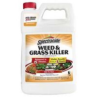 KILLER WEED&GRASS CONC 1GAL   