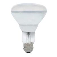 BULB INCAN BR30 FROSTED 65W   