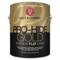 PAINT EXTERIOR FLAT WHT 1GAL  