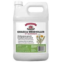 GRASS & WEED KILLER 1 GALLON  