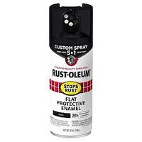 PAINT SPRY 5IN1 FLT BLK 12OZ  