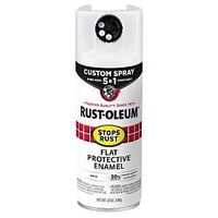 PAINT SPRY 5IN1 FLT WHITE 12OZ