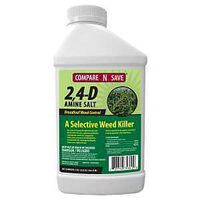KILLER WEED 2-4D AMINE 32OZ   